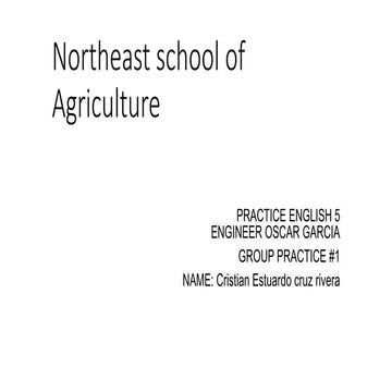 Cristian rive3 ra practica 5