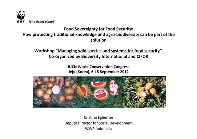 Food sovereignty for food security: how protecting traditional knowledge and agro-biodiversity can be part of the solution