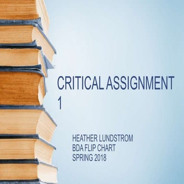 Critical assignment 1
