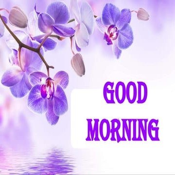 critical care unit  the 9th unit of medical surgical nursing 2