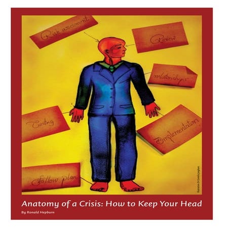 Critical Eye   Anatomy Of A Crisis Insights