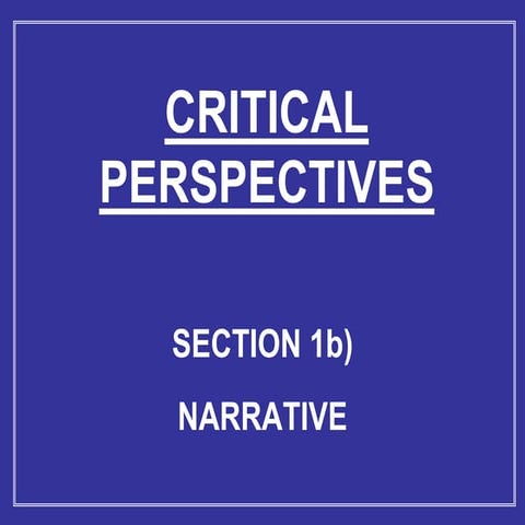 Critical Perspectives Narrative