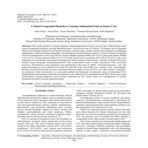Critical urogenital disorders causing abdominal pain in intact cats