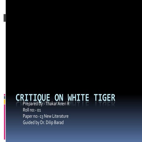 Critique on white tiger  New Literature