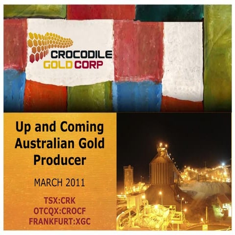 Crocodile Gold: Up and Coming Australian Gold Producer