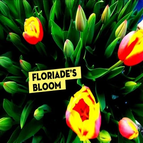 Floriade Pitch Presentation (Assignment)