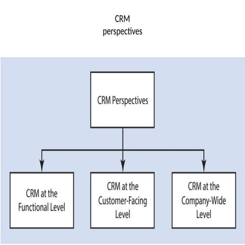 Different Customer Relationship Mgmt  perspectives