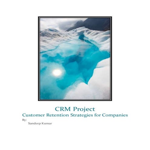 Customers Retention Strategies project