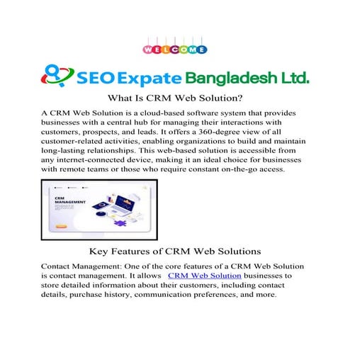 What Is CRM Web Solution?