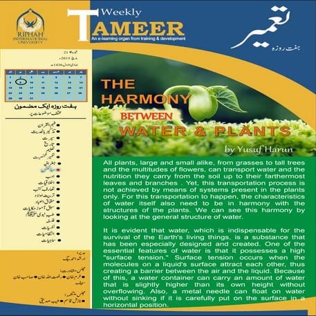 The harmony between water & plant