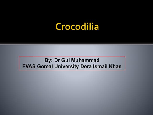 Crocodilia