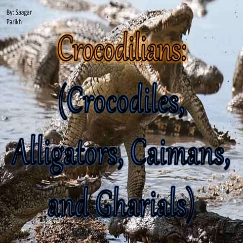 Crocodilians-Crocodiles, Alligators, Caimans, and Gharials | PPT