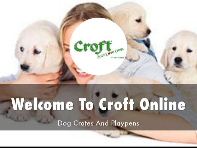 croft dog crates