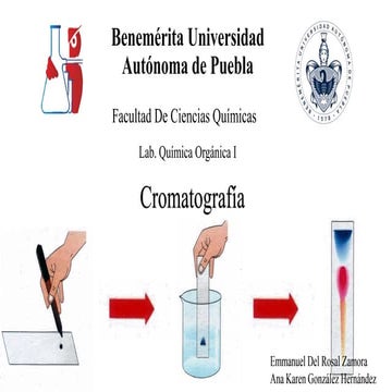 Cromatografia