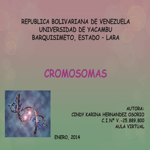 Cromosomas 