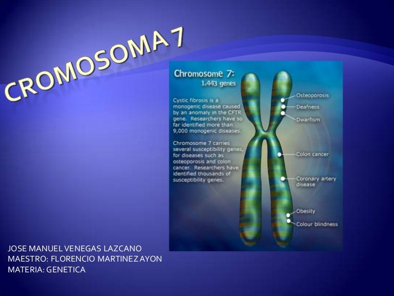Cromosoma 7 enfermedades
