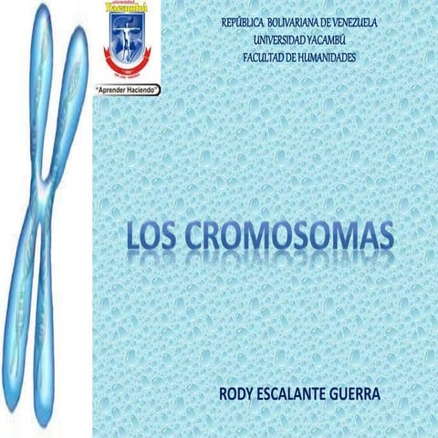 Cromosomas