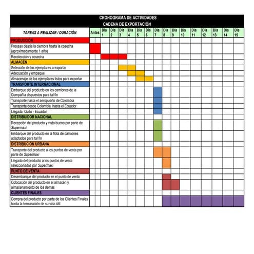Cronograma actividades de la cadena de exportacion