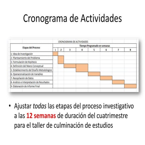 Cronograma de actividades 0269