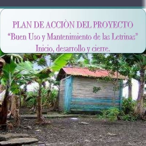 Cronograma del proyecto