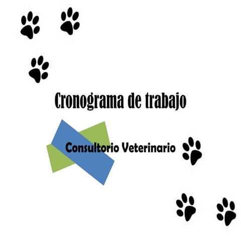 Cronograma de trabajo 