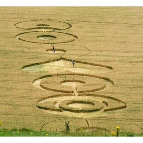 Crop Circles - Cerchi nel grano