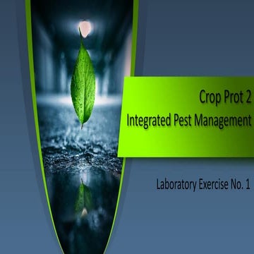Crop-Prot-2.pptx.Disease Identificationpdf