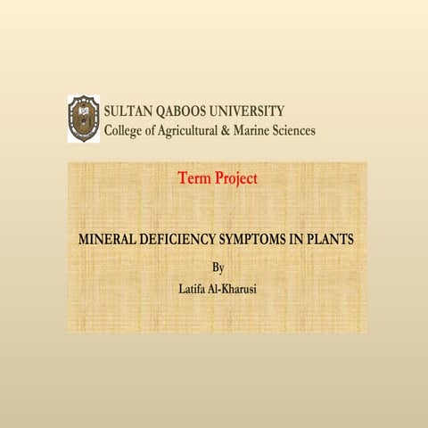 CROP4001 student term project By Latifa Al-Kharusi