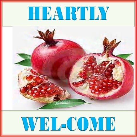 Crop diversification in vidarbh region through pomegranate sachin final