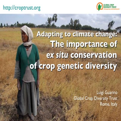 The role of ex situ crop diversity conservation in adaptation to climate change