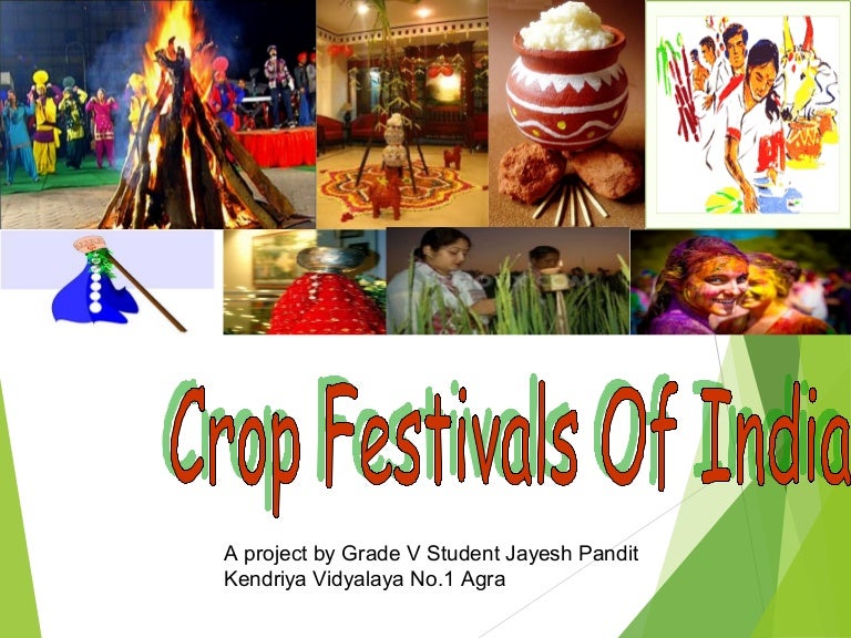 Crop festivals of India ppt