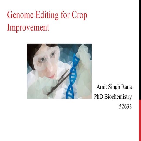 Crop genome editing using CRISPR