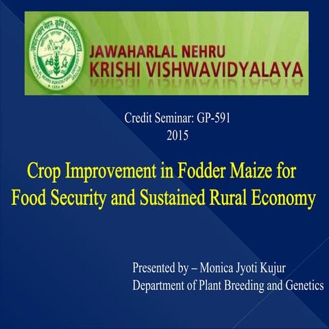 Crop improvement in fodder maize for sustanable economic development