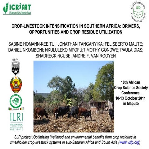 Crop-livestock intensification in Southern Africa: Drivers, opportunities and...
