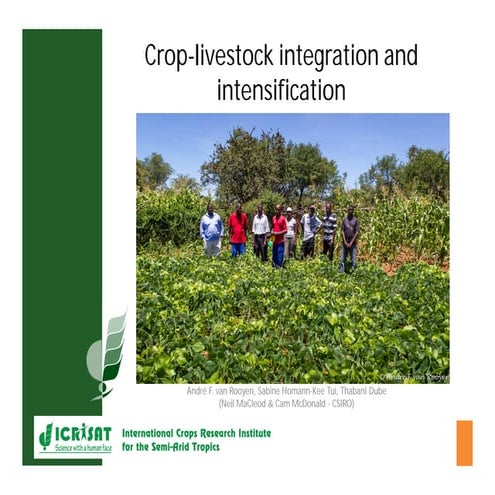 Crop-livestock integration and intensification