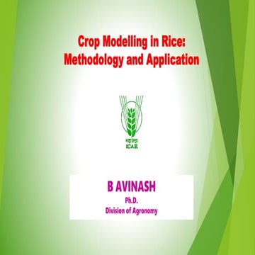 Crop Modelling in Rice
