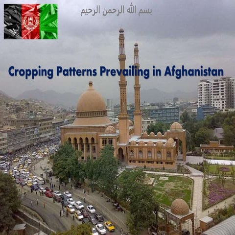Cropping patterns prevailing in afghanistan