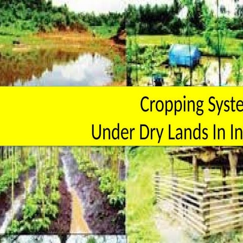 Cropping pattern under dry lands in India class.pptx