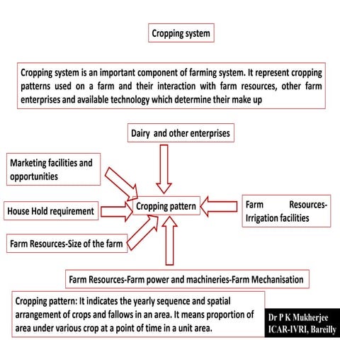 Cropping system pijush kanti mukherjee (icar-ivri) | PDF