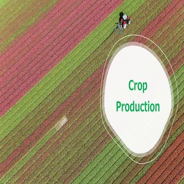 Crop production