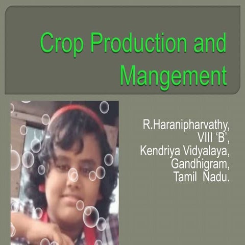 CropProduction.pptx