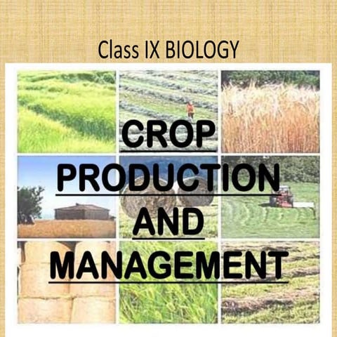 crop production.pptx