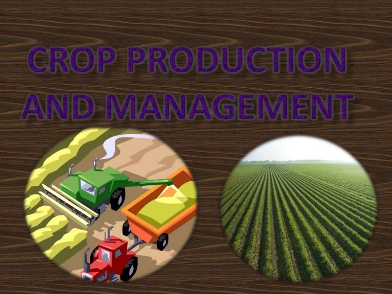 Crop Production and Management