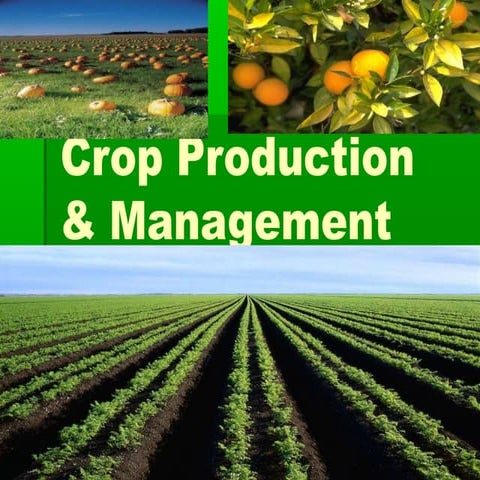 crop production & management.pptx