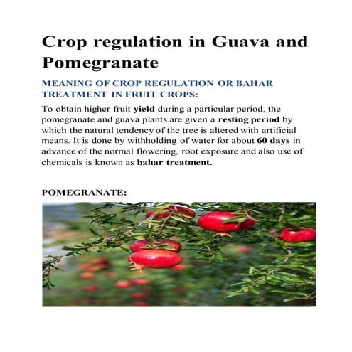Crop regulation in guava and pomegranate