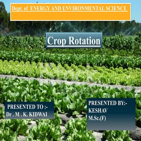 Crop rotation