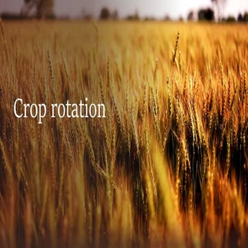 Crop rotation best slides