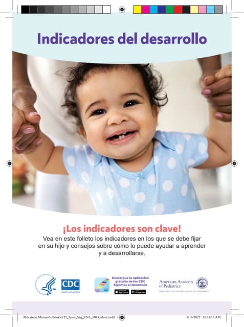 IODI - INSTRUMENTO DE OBSERVACIÓN DEL DESARROLLO INFANTIL | PDF