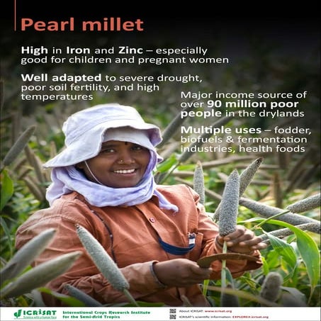 Crops poster pearl millet 1