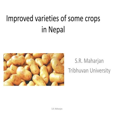 Improved Crop varieties in Nepal